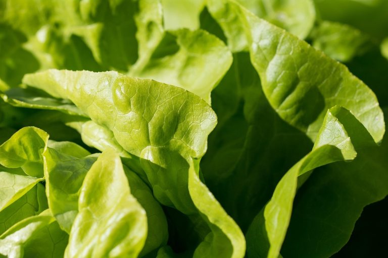 cei mai folositi aditivi alimentari