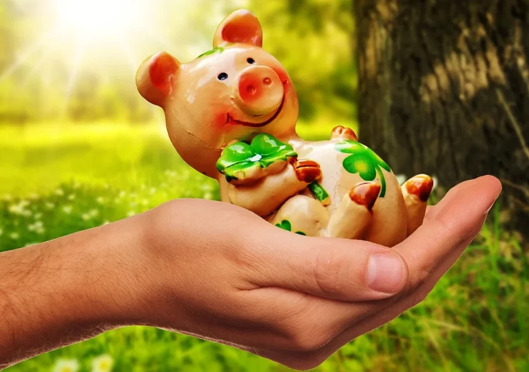 formula de calcul greutate porc