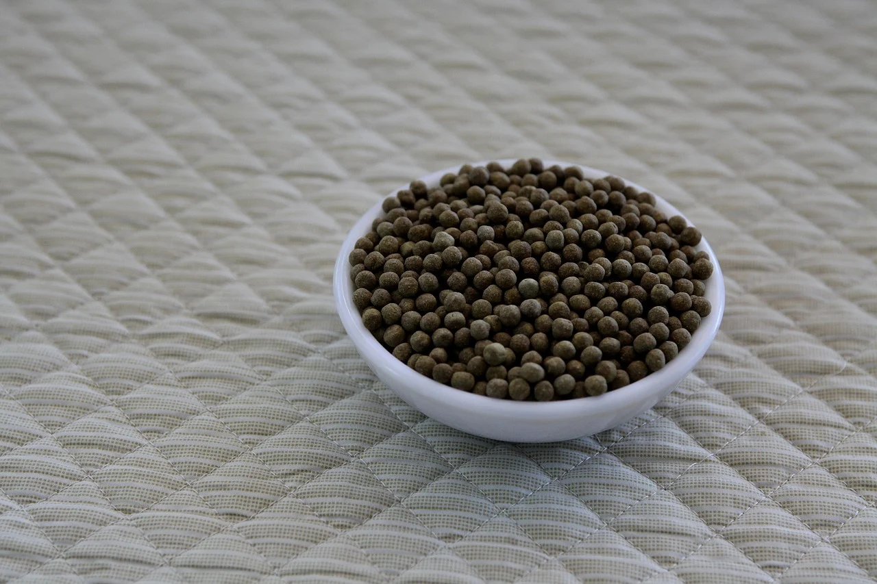 in cat timp isi face efectul glucophage