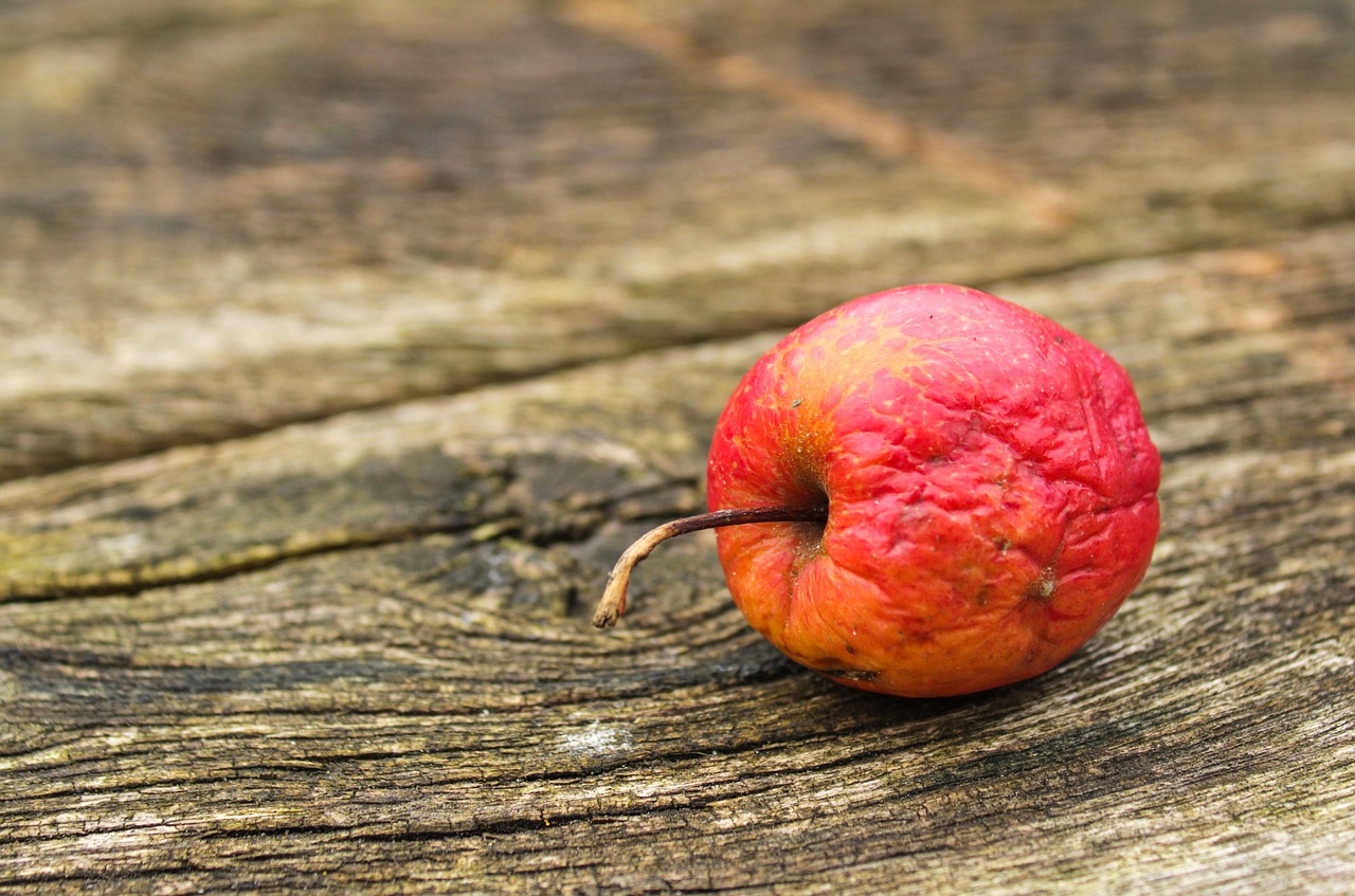 in cat timp se vindeca o fractura de vertebra