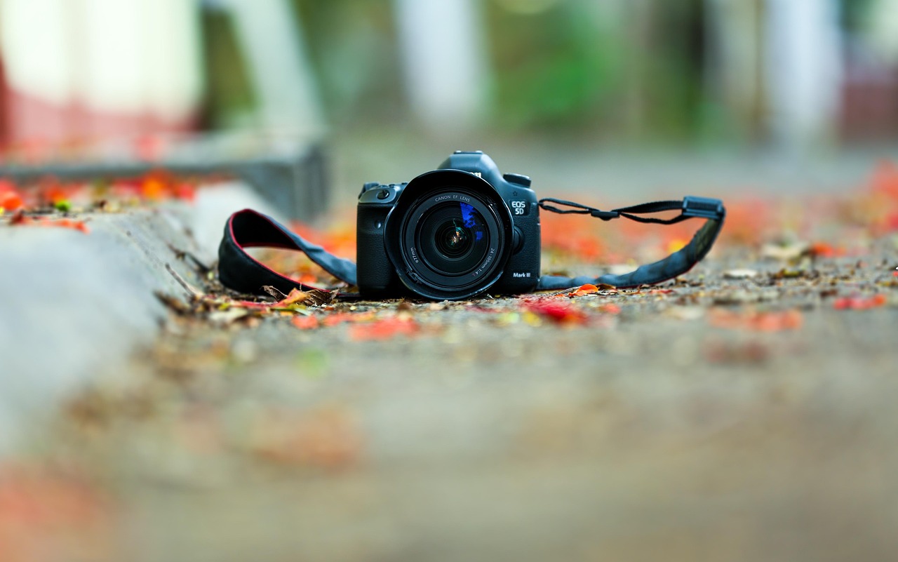 in cat timp isi face efectul tentex royal