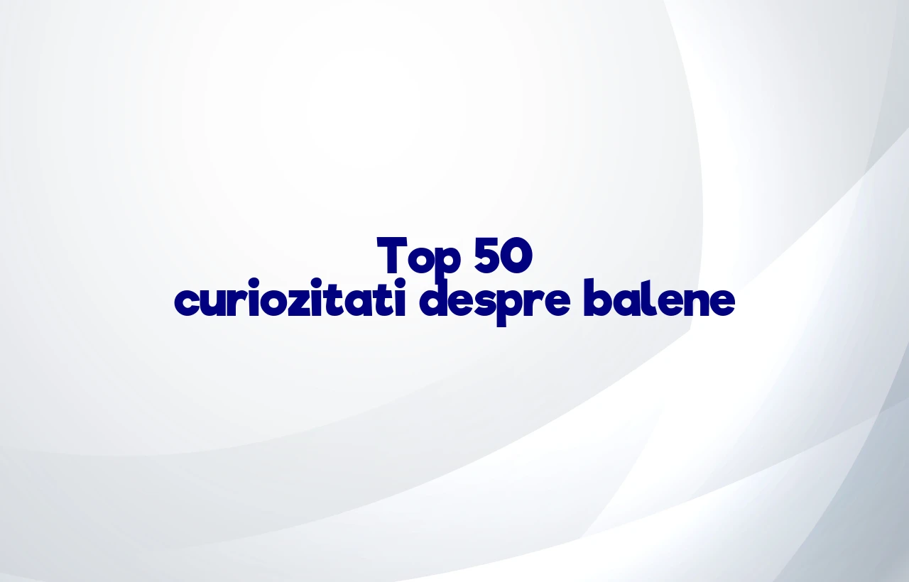 top 50 curiozitati despre balene