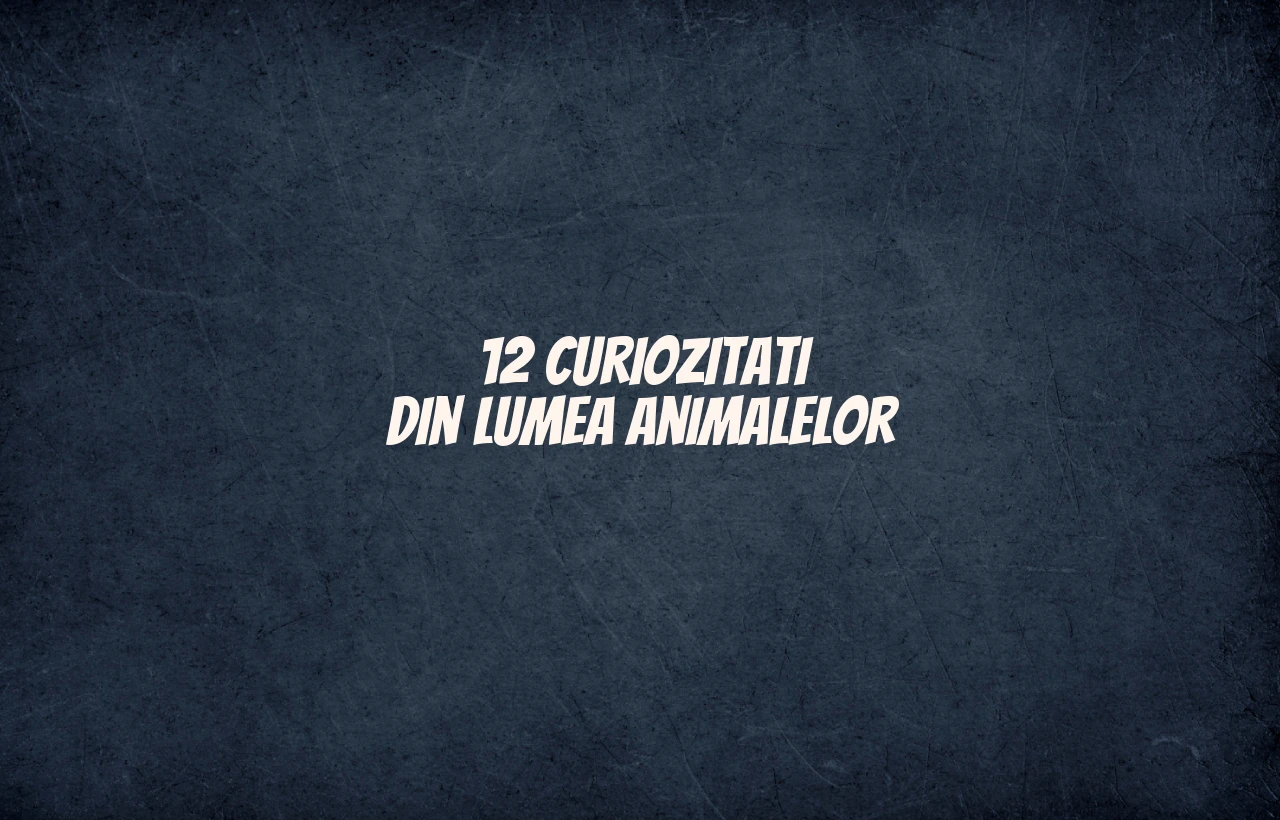 curiozitati din lumea animalelor