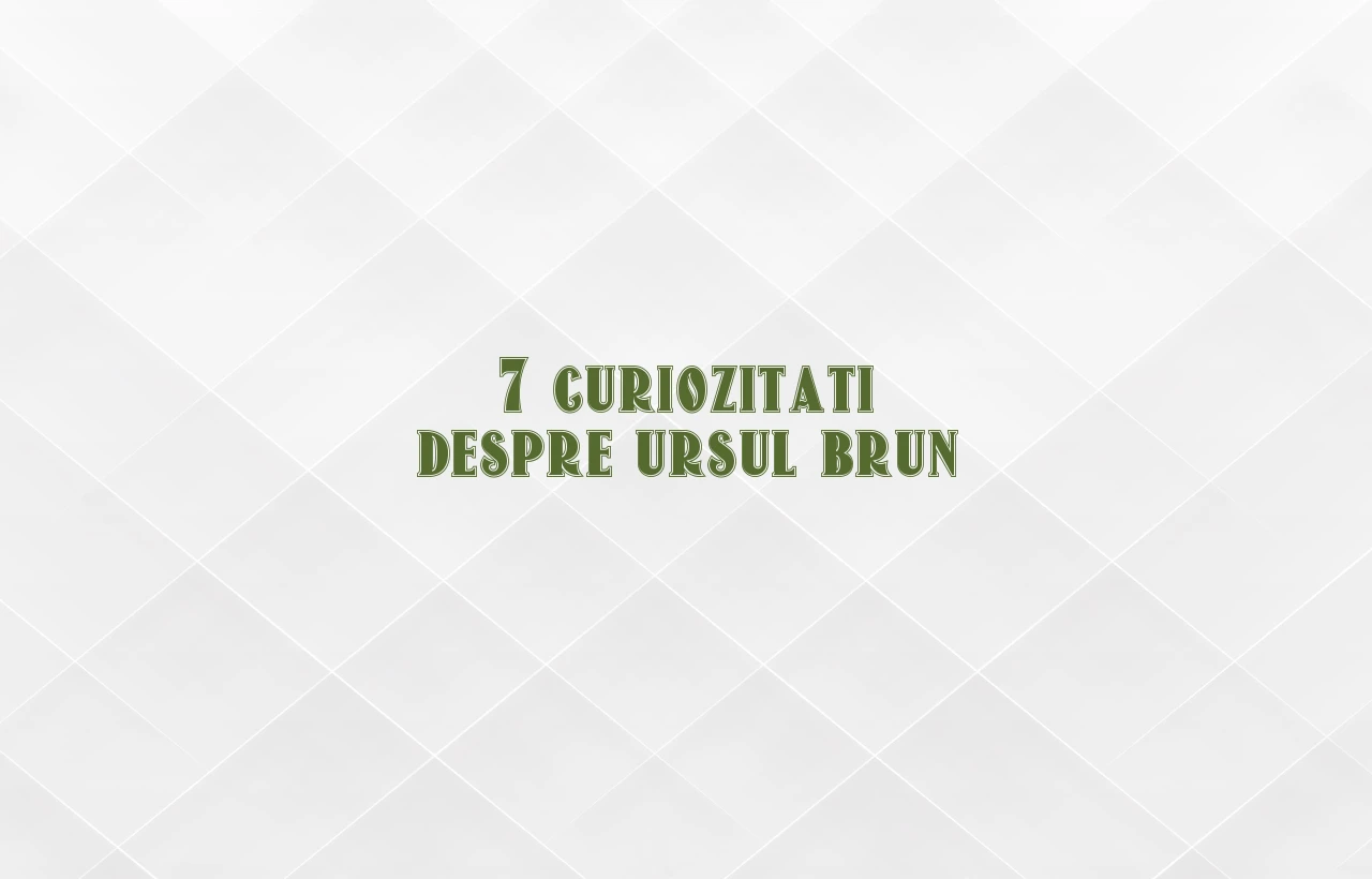 curiozitati despre ursul brun
