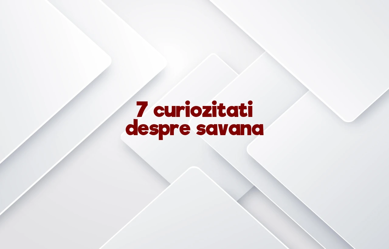 curiozitati despre savana