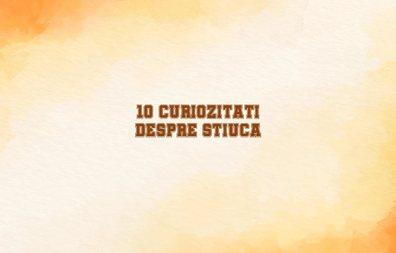 curiozitati despre stiuca