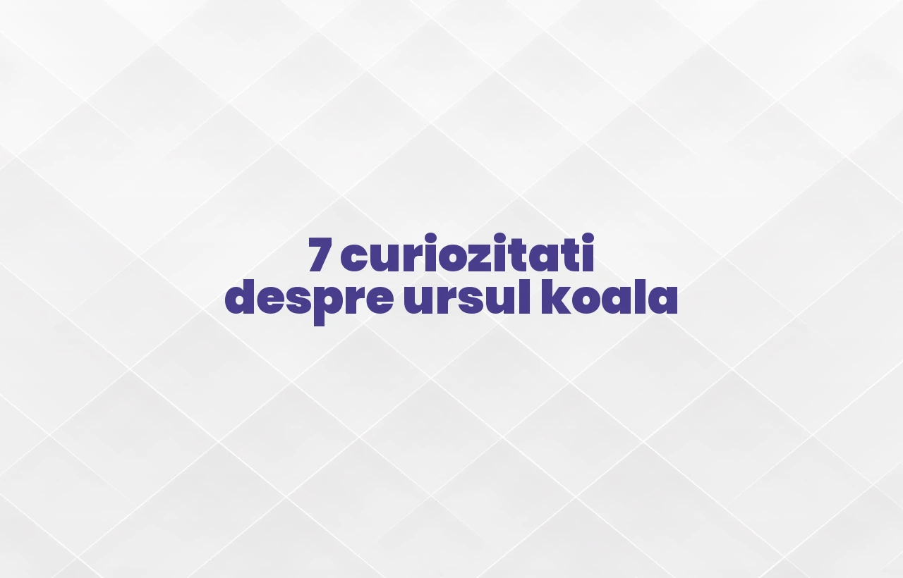 curiozitati despre ursul koala