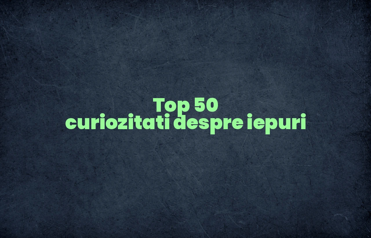 top 50 curiozitati despre iepuri