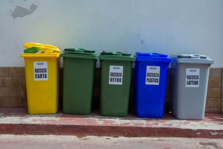 Ce trebuie să știu despre evidența deșeurilor, dacă am o firmă?