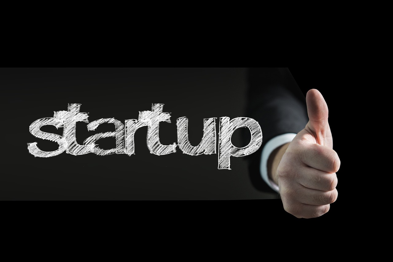 idei de afaceri online fara investitie