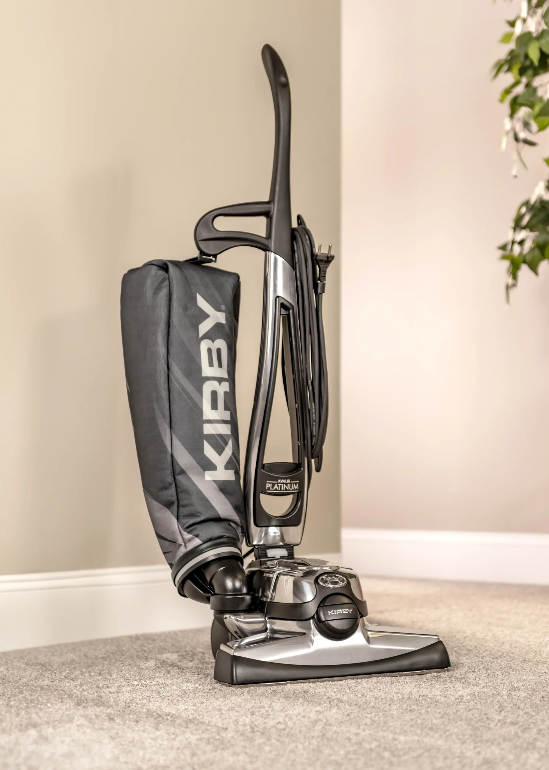 platinum upright hero eco scaled